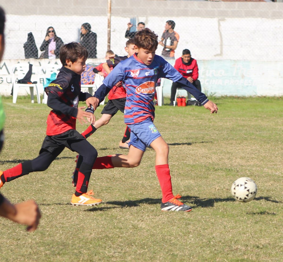 Inferiores 5