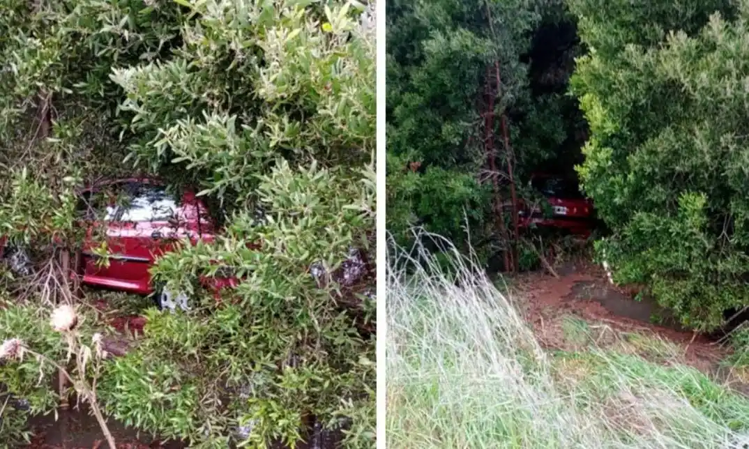 Entre la arboleda, terminó la trayectoria el automóvil Peugeot 206, en el que se movilizaban las dos mujeres