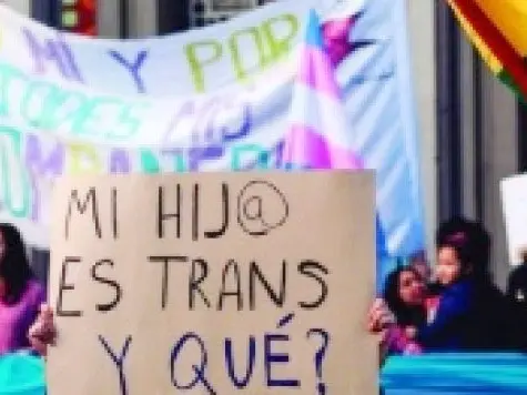 Cornejo: “Pasa por encima del debate democrático que se dio en Argentina”