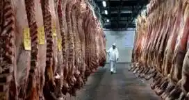 Aseguran que la carne argentina está a salvo del Brexit