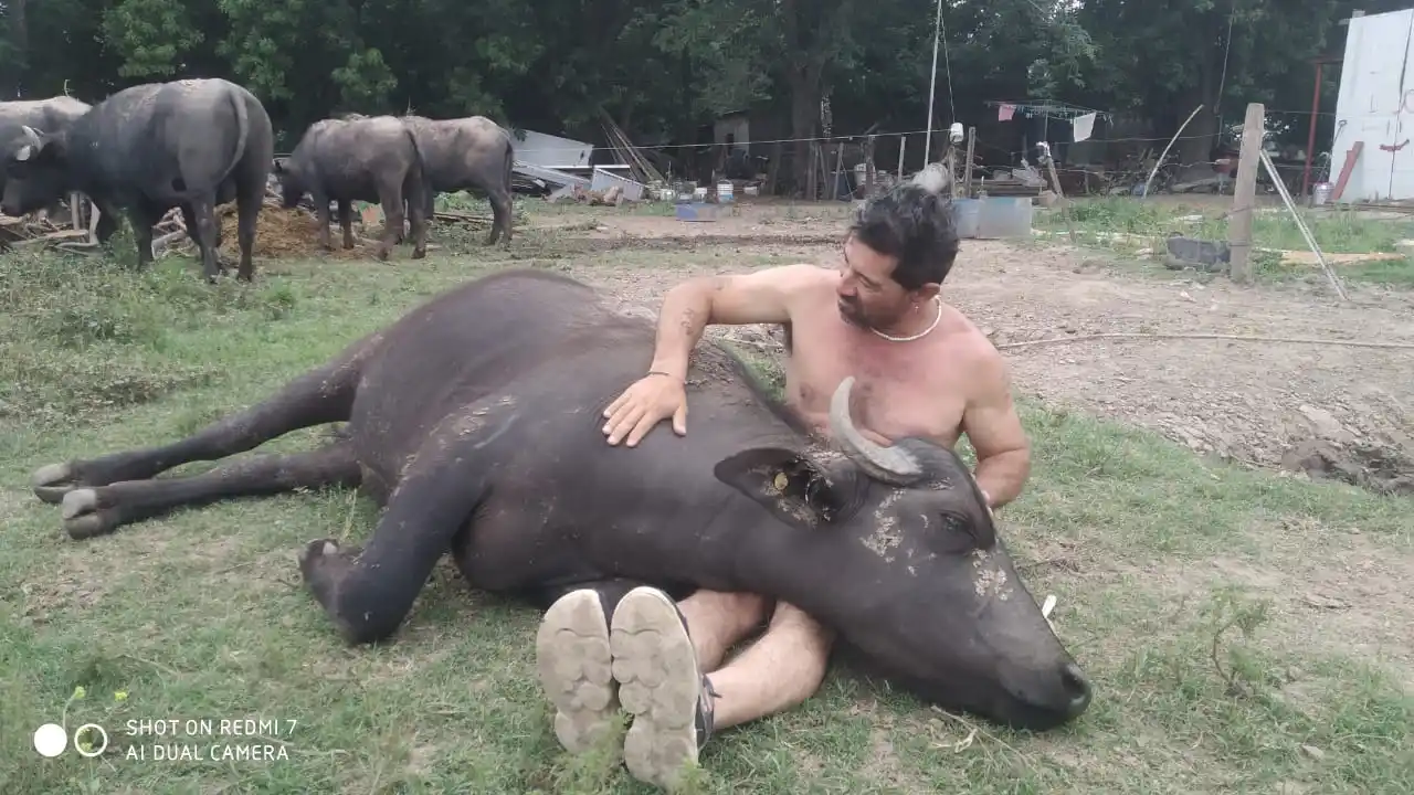 Marcelo González bufaloterapia