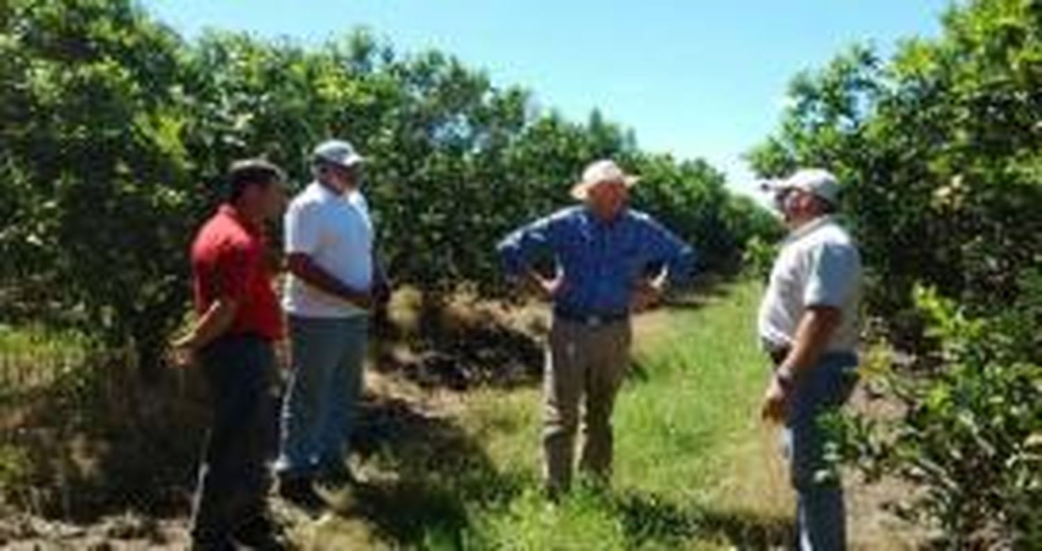 Guillermo Bernaudo visitó la zona por el inicio de fumigaciones contra la mosca de los frutos