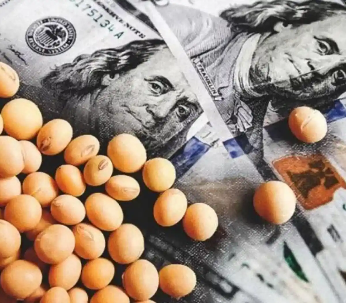 Diputada bonaerense a Milei: “cumpla con lo que prometió en campaña electoral y elimine las retenciones”