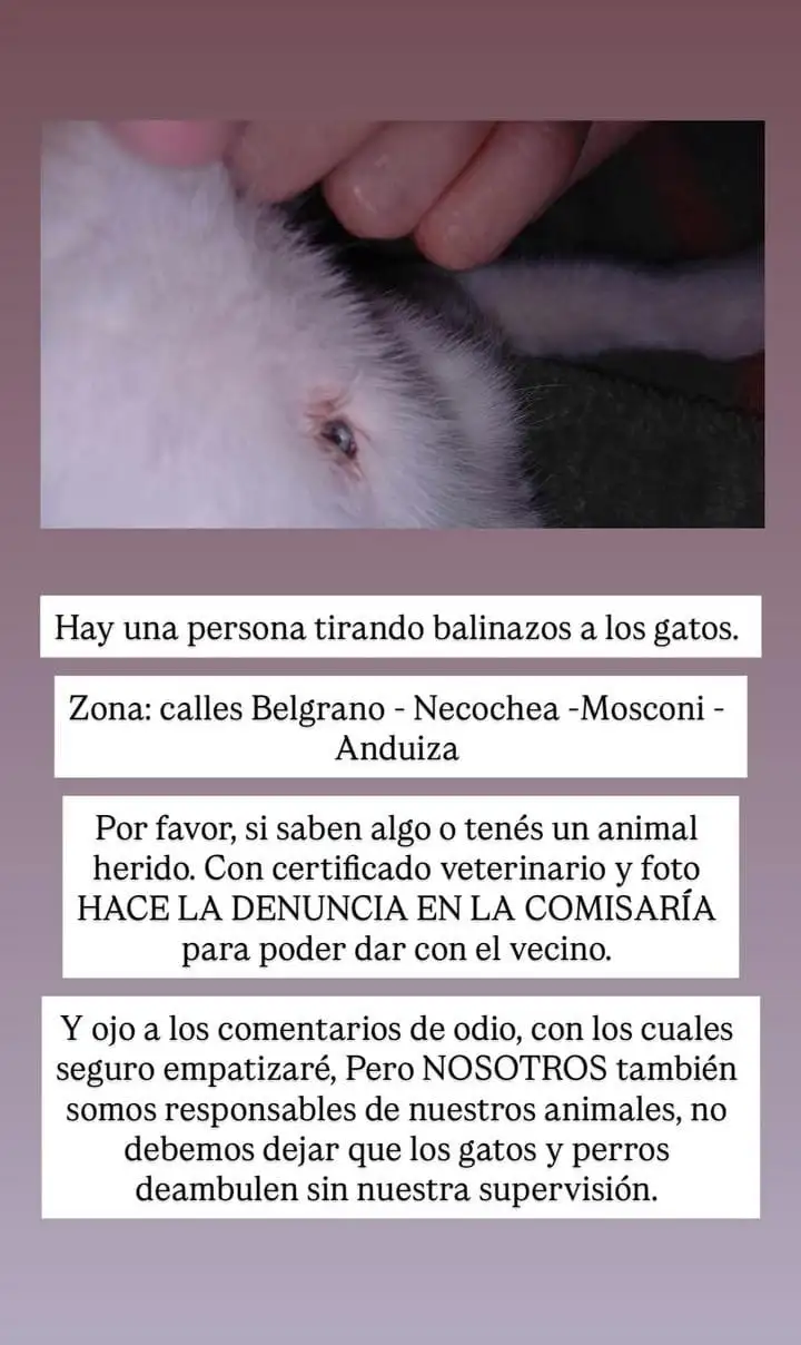 denuncia de vecinos