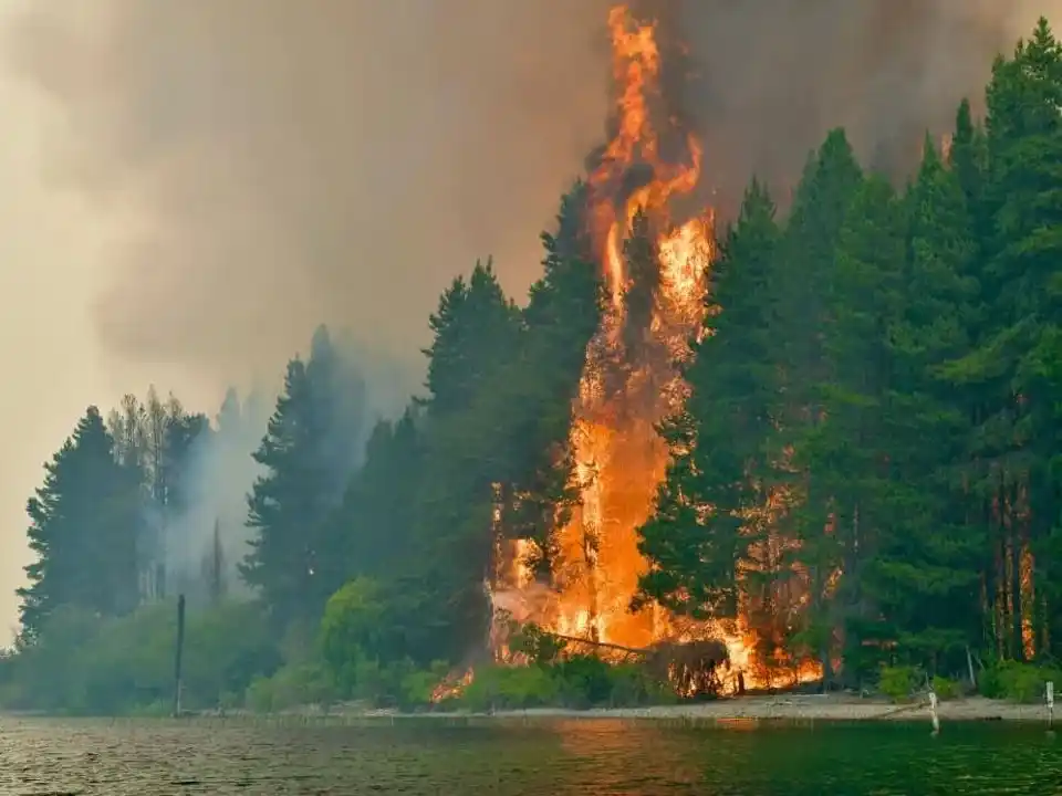 El Gobierno nacional declaró por decreto la Emergencia Ígnea por un año en las provincias de Chubut, Río Negro, Neuquén y La Pampa.