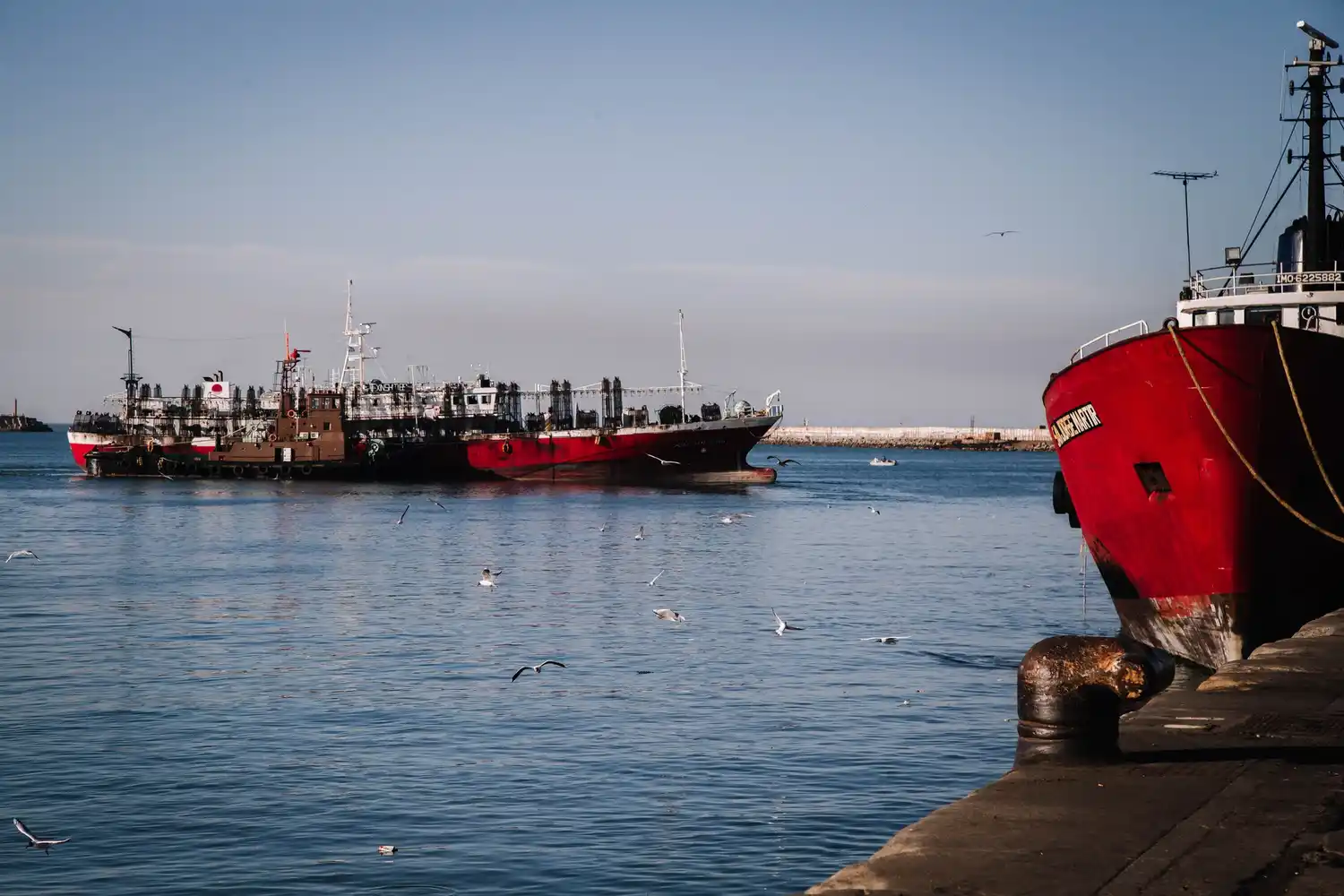 El Puerto de Mar del Plata aporta más del 60% de la flota potera que inicia este nuevo período de captura.