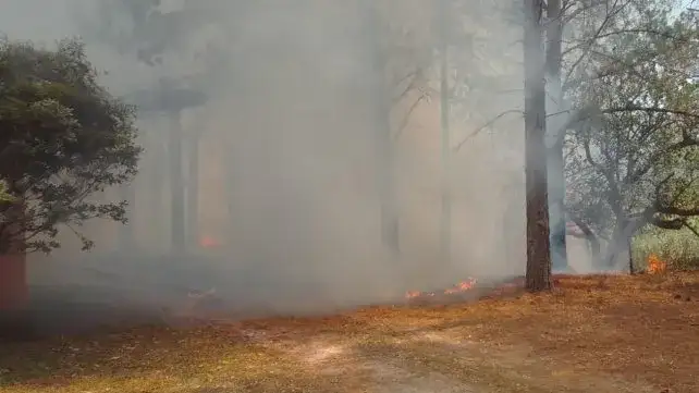 Sigue la intensa actividad de los Bomberos por los incendios