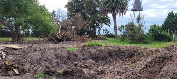 Ferrocarril Depietri: después de la demolición de la estación, llegó la hora del arbolado