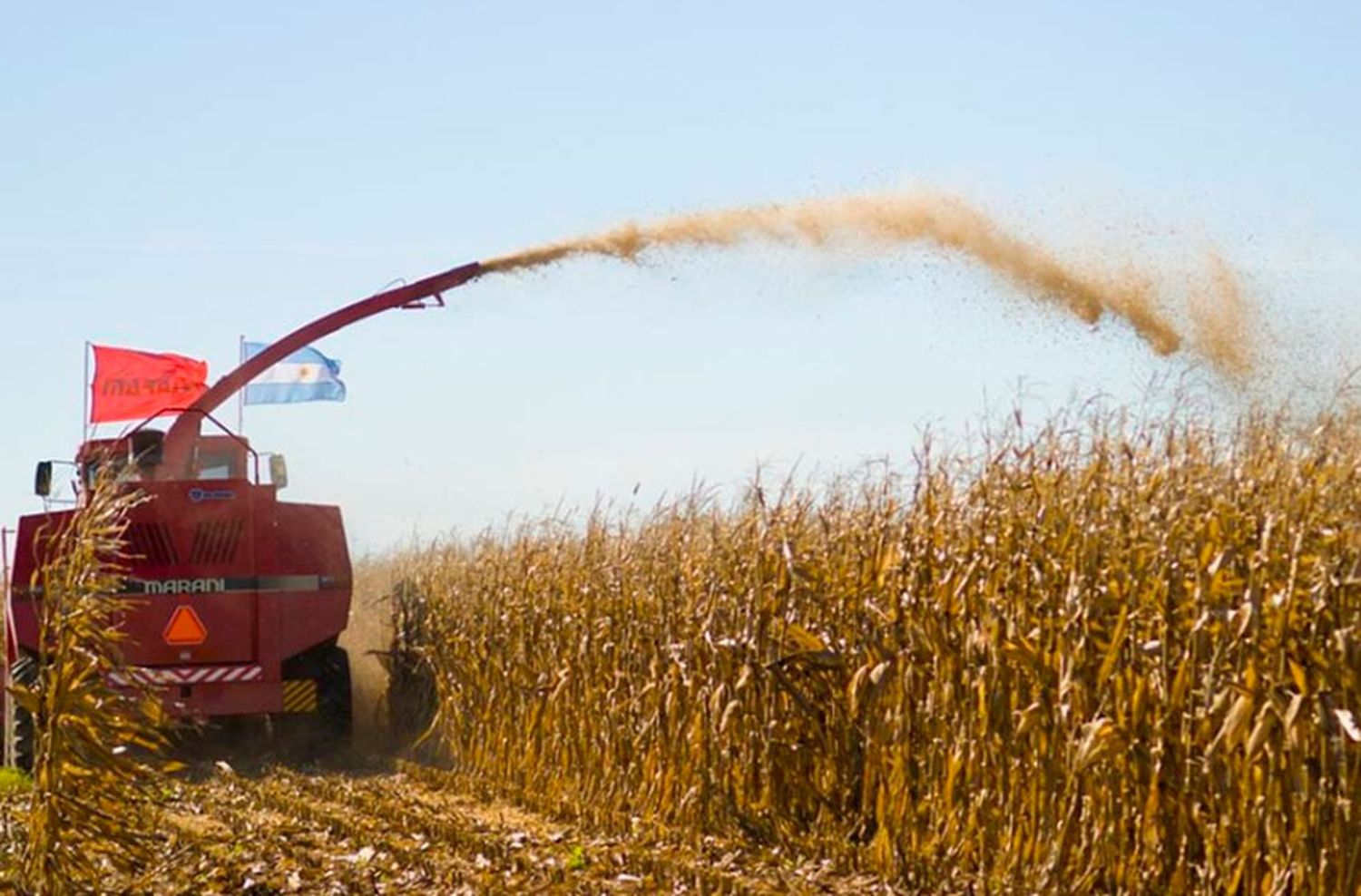 El Gobierno oficializó el dólar agro e incorporó una amplia cantidad de productos
