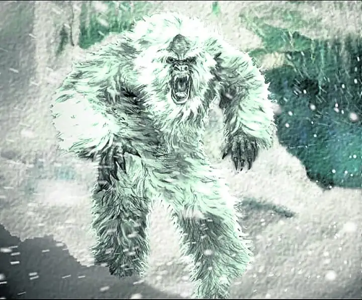 El ejército indio asegura haber encontrado huellas del Yeti