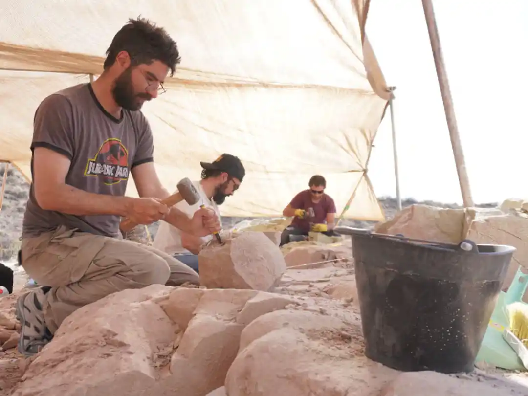El equipo de paleontólogos del Conicet mostrará en vivo cómo es el trabajo que desarrollan en la Patagonia. (Foto: cortesía equipo del Lacev)