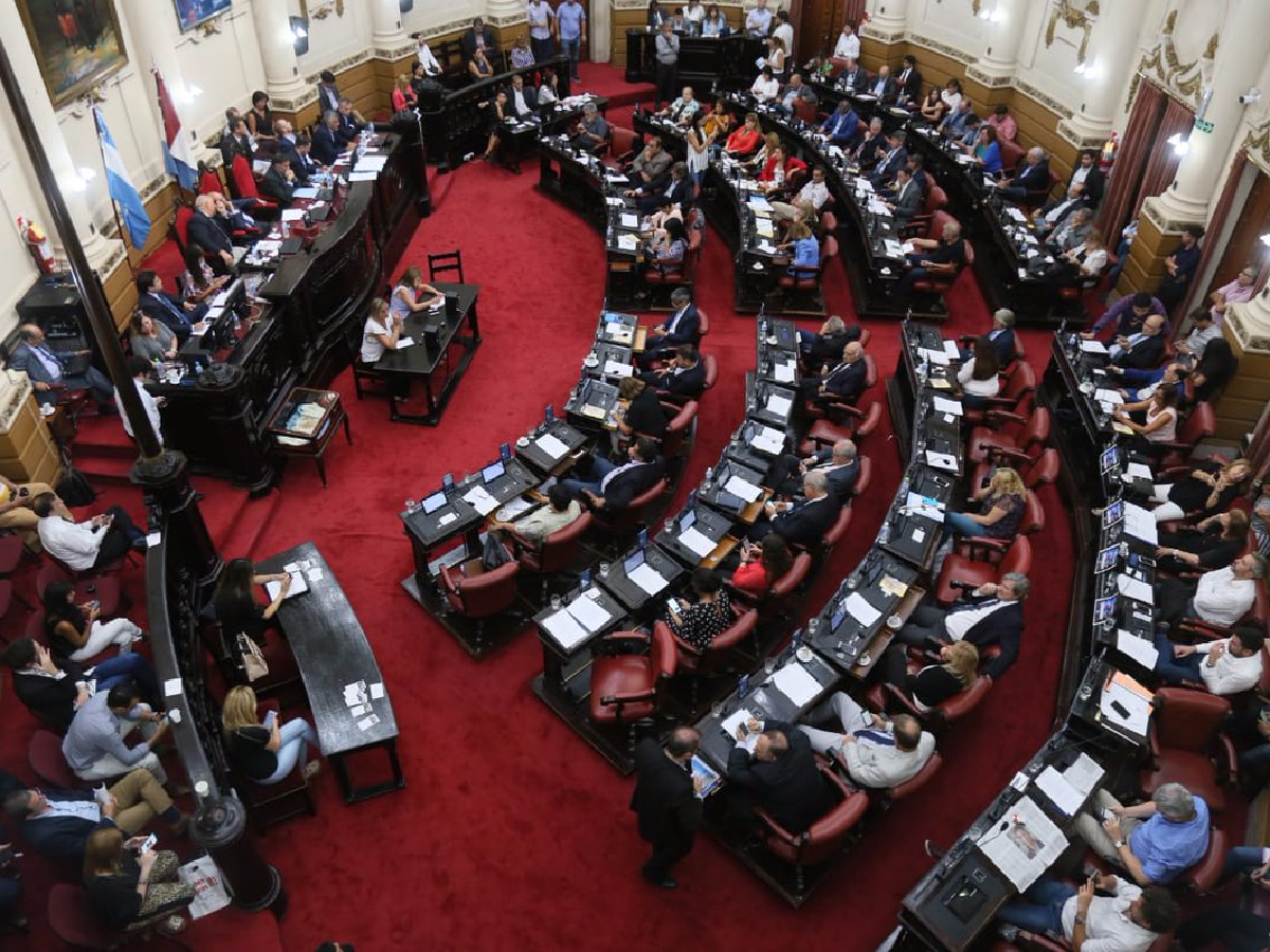 "Abogado del niño": la legislatura provincial debate hoy si transforma en ley el proyecto