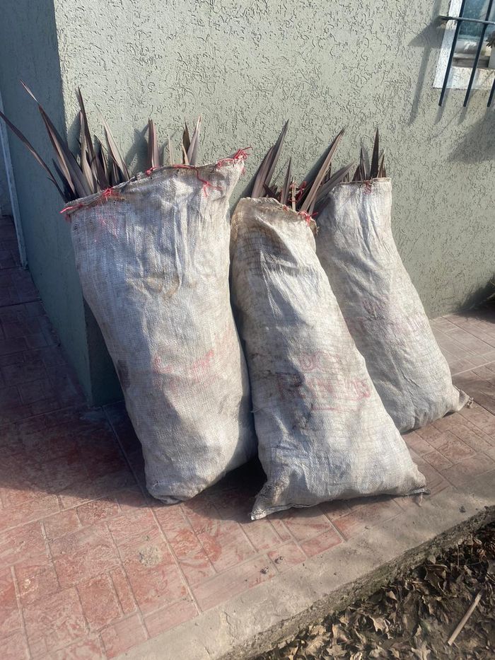 Formios robados