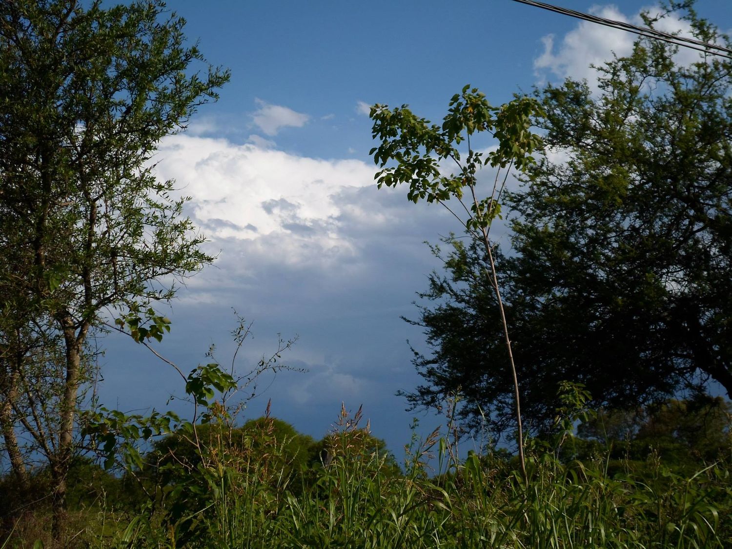 Clima inestable en Entre Ríos: Tormentas y lluvias afectan la región