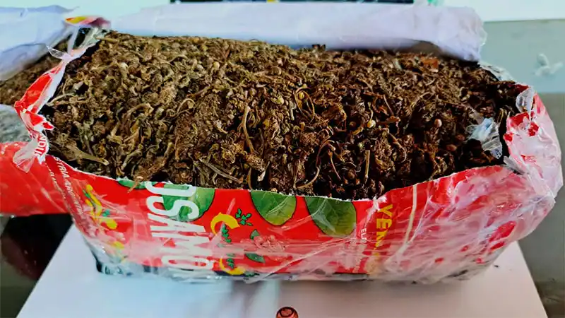 Hallaron en una encomienda paquetes de yerba y harina con marihuana