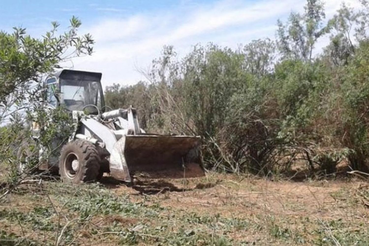 Grave: Denuncian que tras los incendios ingresaron topadoras a las islas del Delta