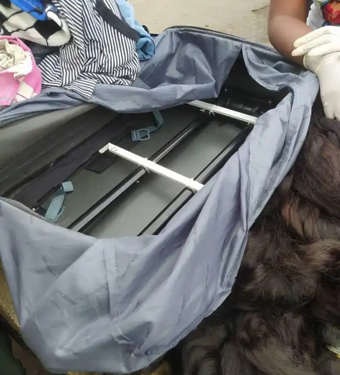 Traficantes-de-cabello-