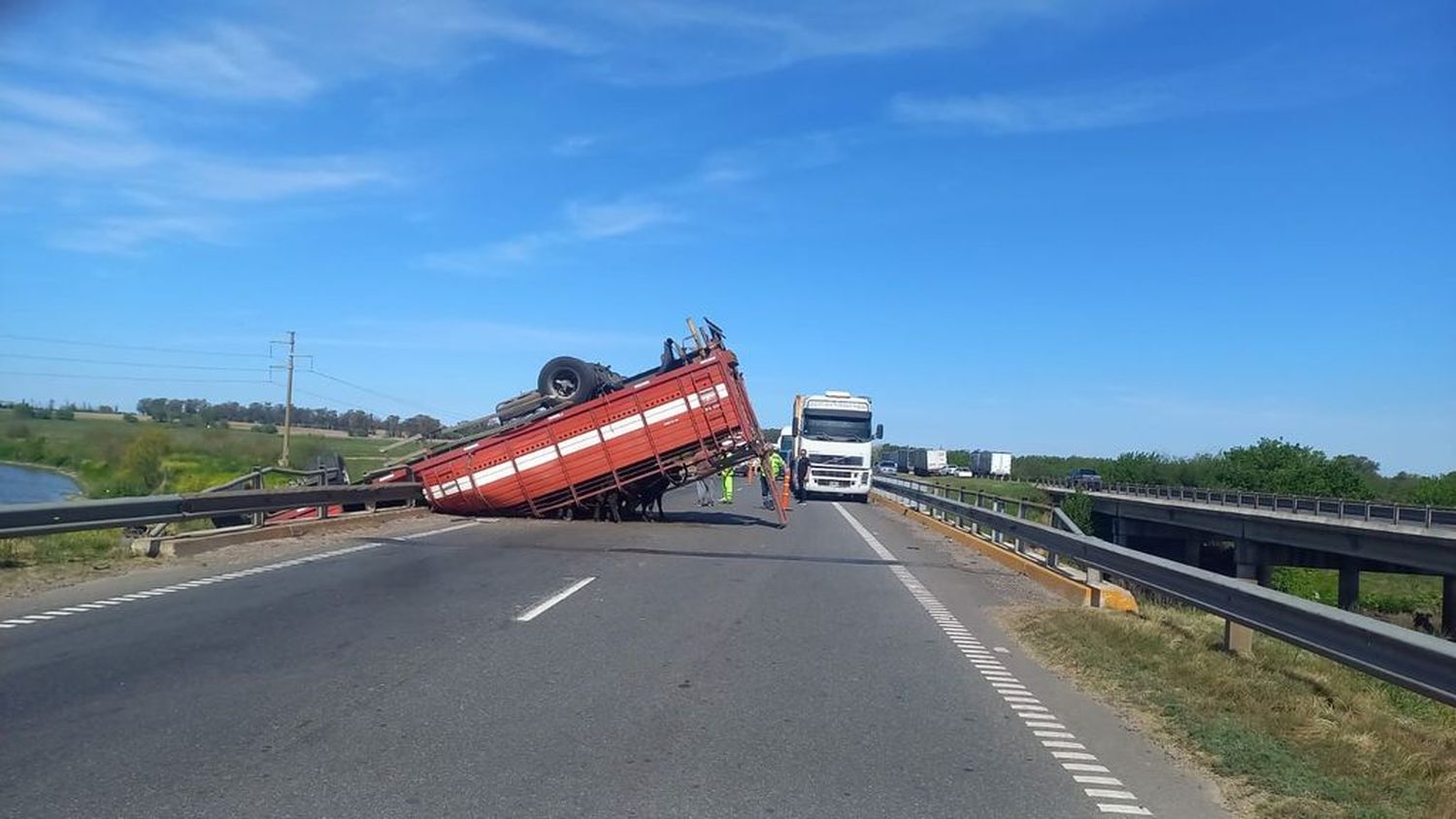 Volcó un camión jaula con ganado en ruta 9 y los vecinos faenaron a las vacas