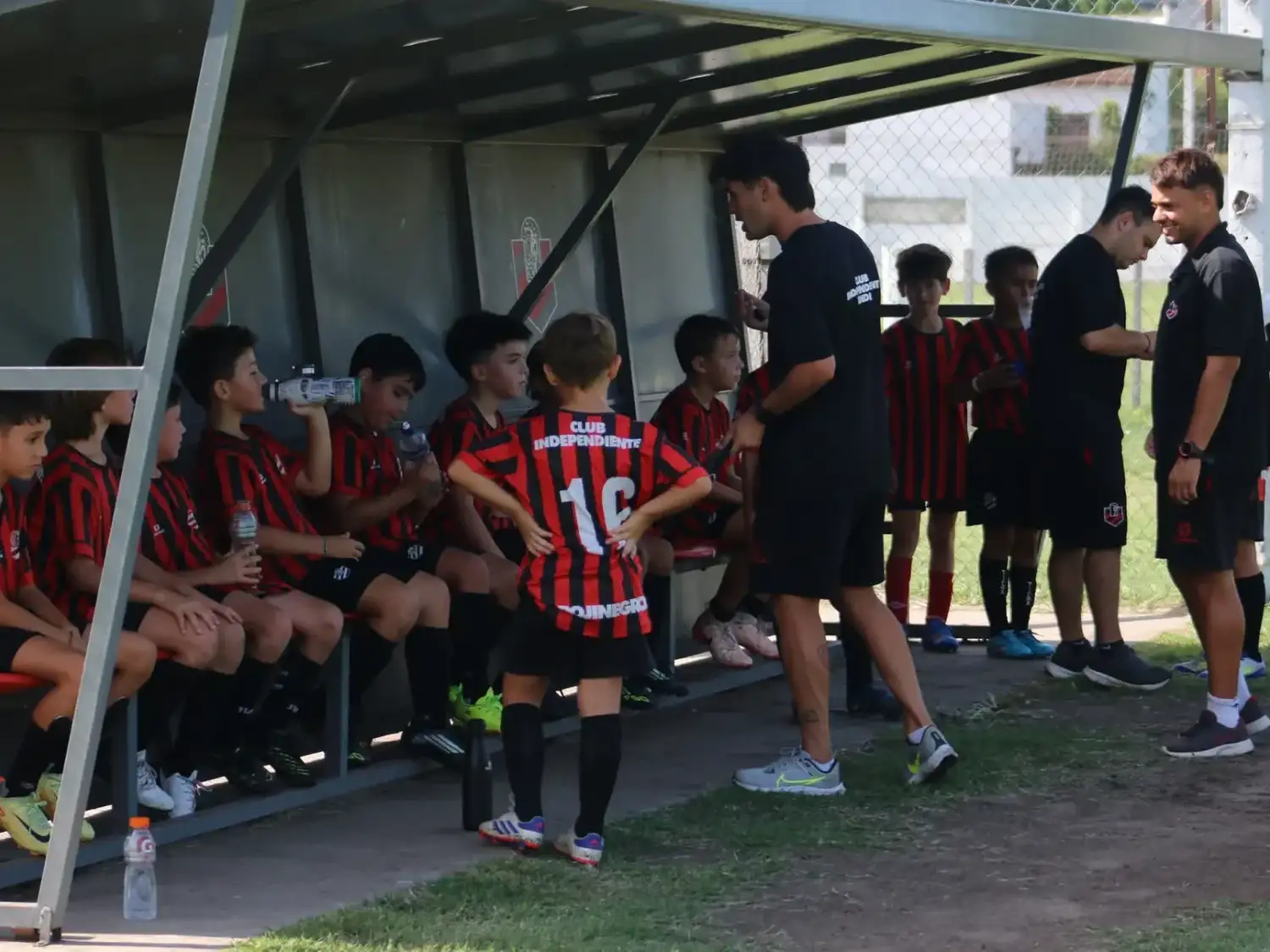Independiente