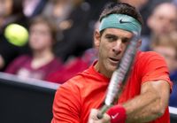 Del Potro confirmó que vuelve al Roland Garros