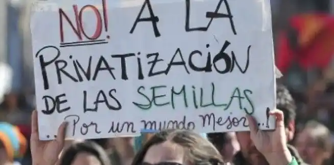 Marchan contra la Ley de Semillas y al intento de habilitar fumigaciones