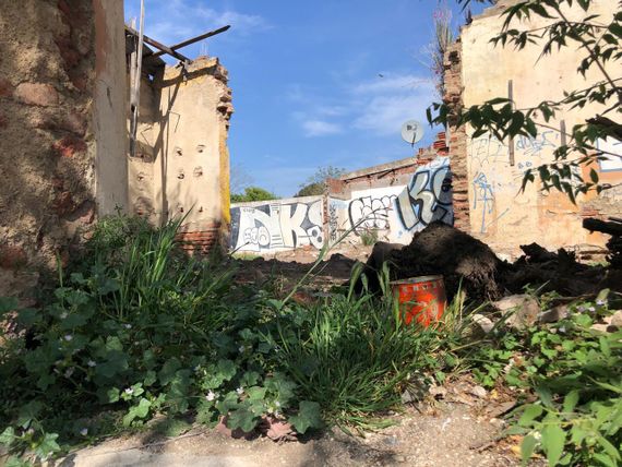 Terrenos abandonados y pastizales: las denuncias crecen con el calor y pese a las multas los casos siguen