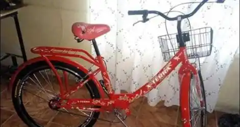 Bicicleta robada