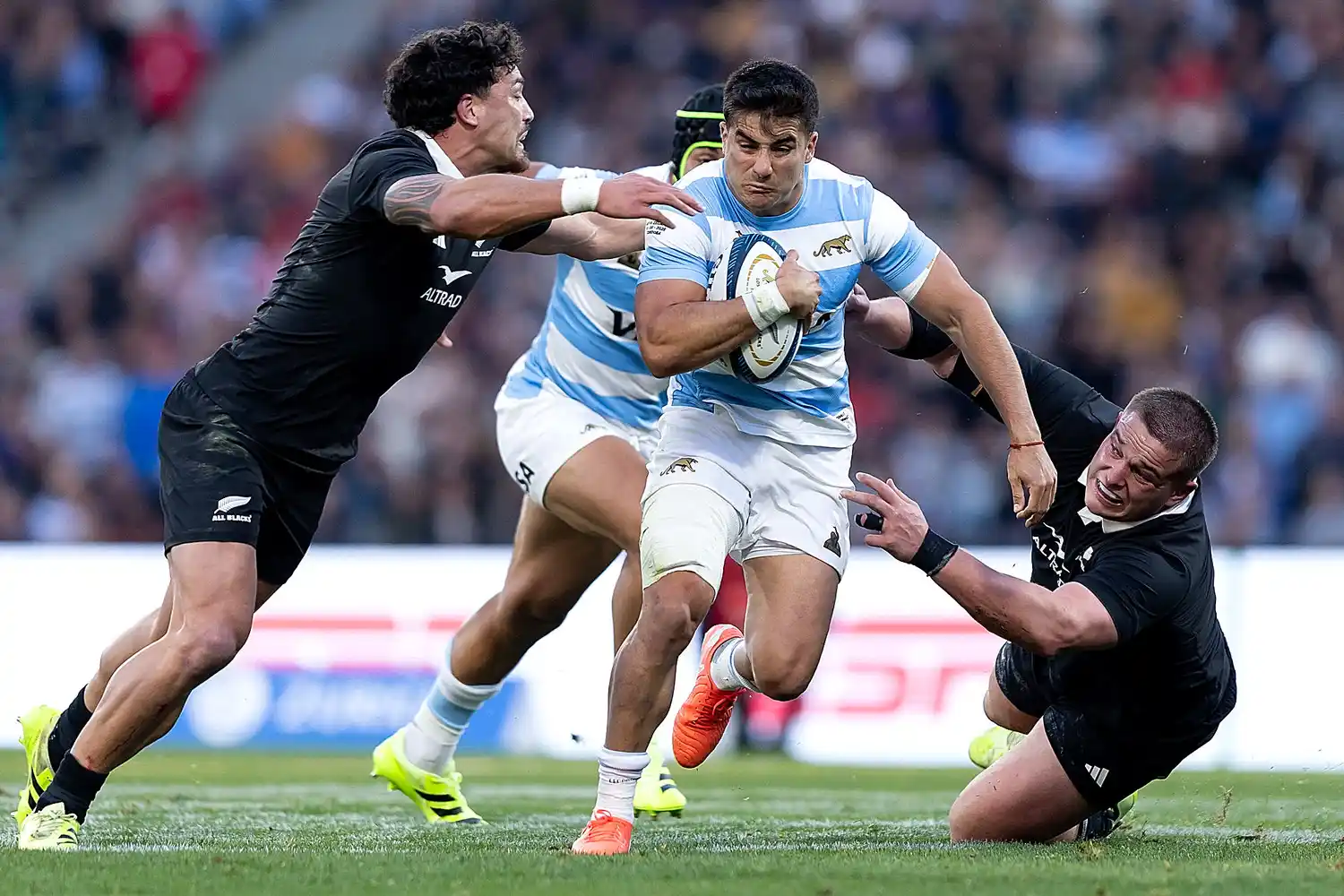 Los Pumas recibirán a los All Blacks en Vélez