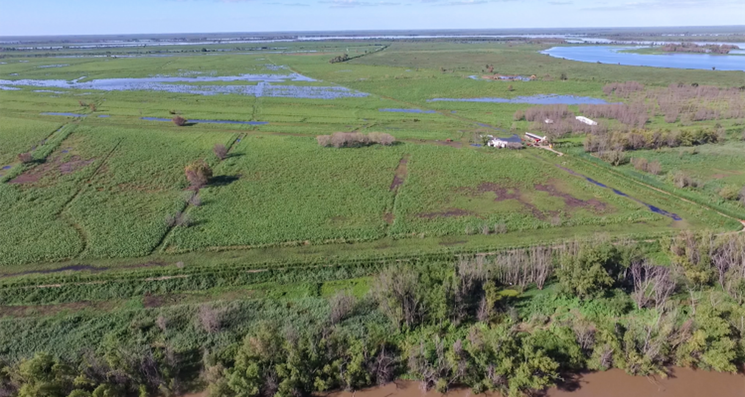 #VerElAire: Terraplenes, diques y soja en la zona de islas