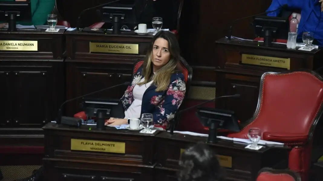 Un fiscal requirió enviar a juicio oral a uno de los asesores de la senadora Flavia Delmonte, en la causa que investiga supuestos contratos "con retorno".