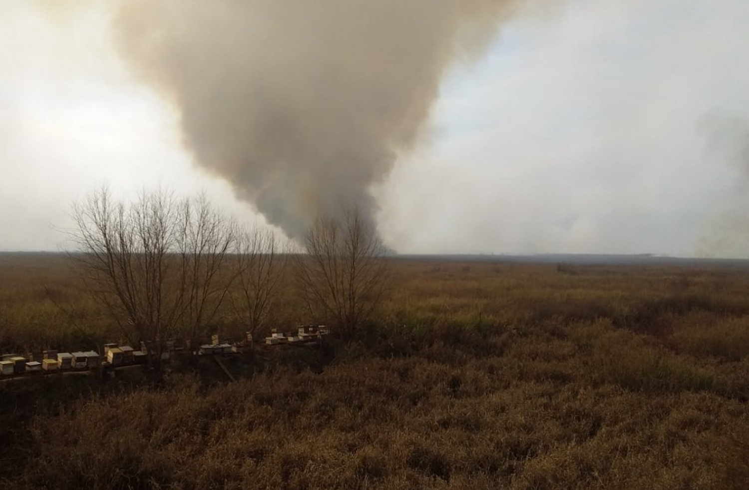 En Gualeguay siguen activos dos focos de incendios forestales