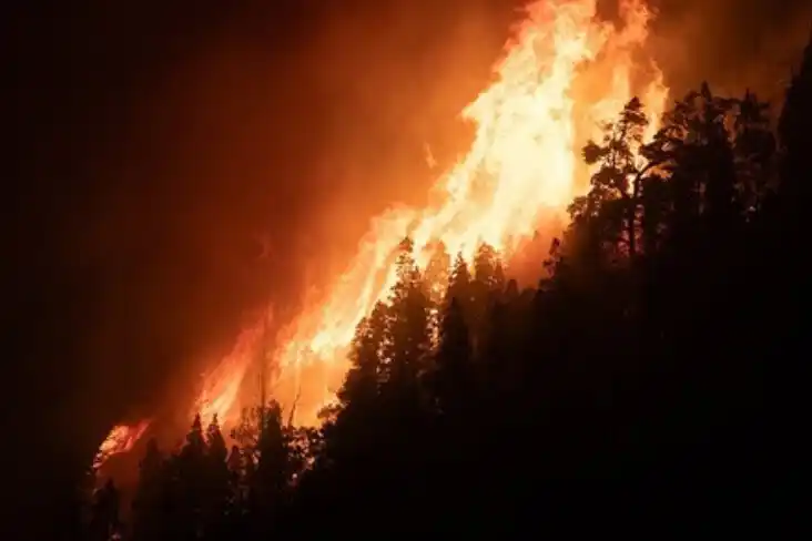 Lambertini explicó que un incendio se vuelve severo cuando confluyen condiciones climáticas y ambientales desfavorables.