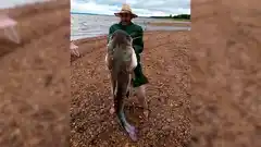 Pescó un gigantesco surubí de 52 kilos