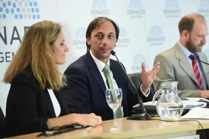 Santiago Castro Videla es el titular de la Procuración del Tesoro Nacional.