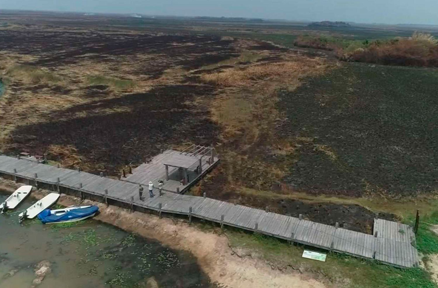 Incendios en Corrientes: ¿Cómo afectan al ecosistema?