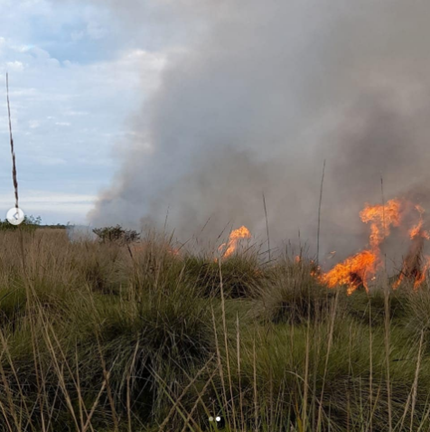 Bomberos trabajaron cinco horas sofocando un incendio