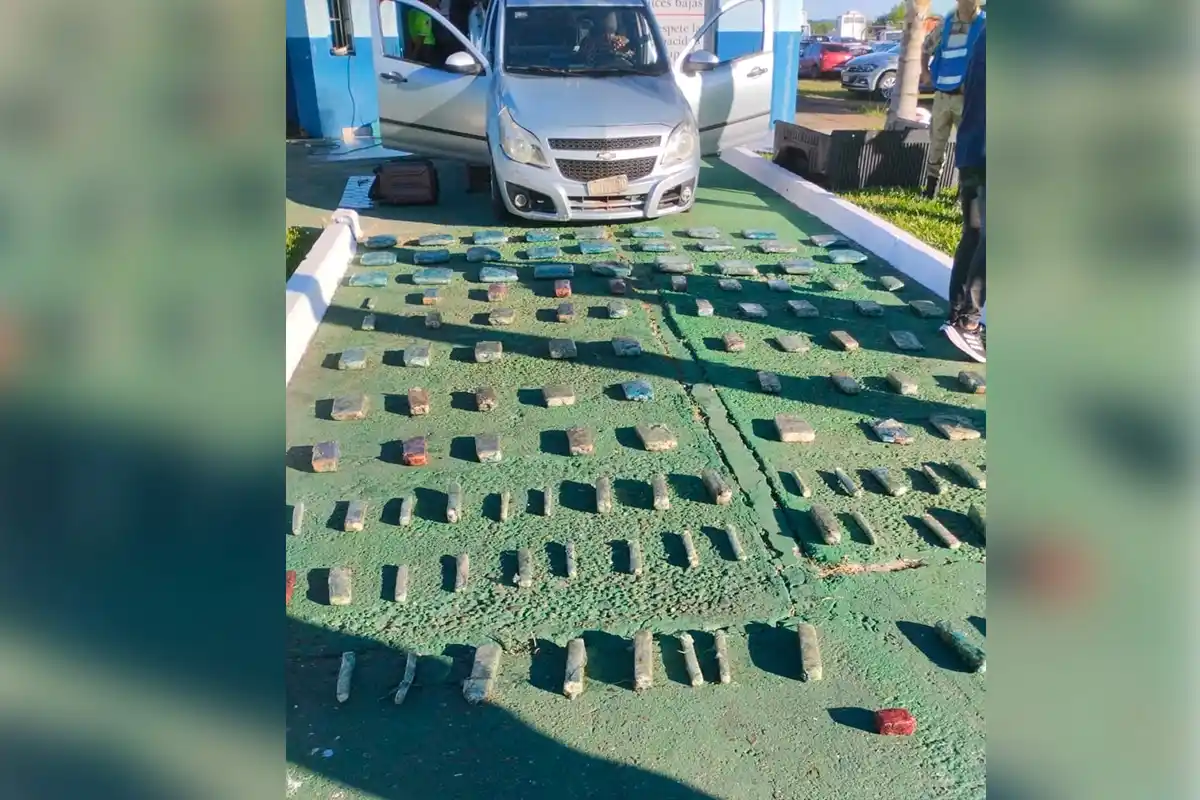Incautaron más de 70 kilos de marihuana en un puesto caminero de la Ruta N°14