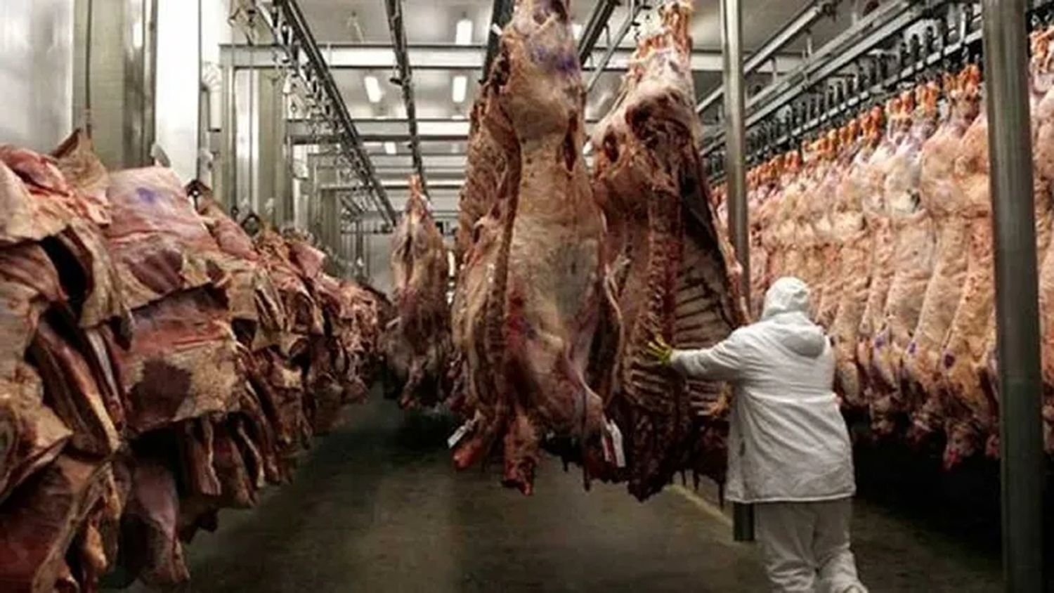 Eliminaron una norma que establecía el peso mínimo de faena para bovinos