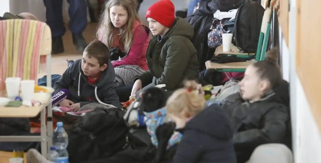 Ucrania denunció la muerte de más de 340 niños por los ataques rusos