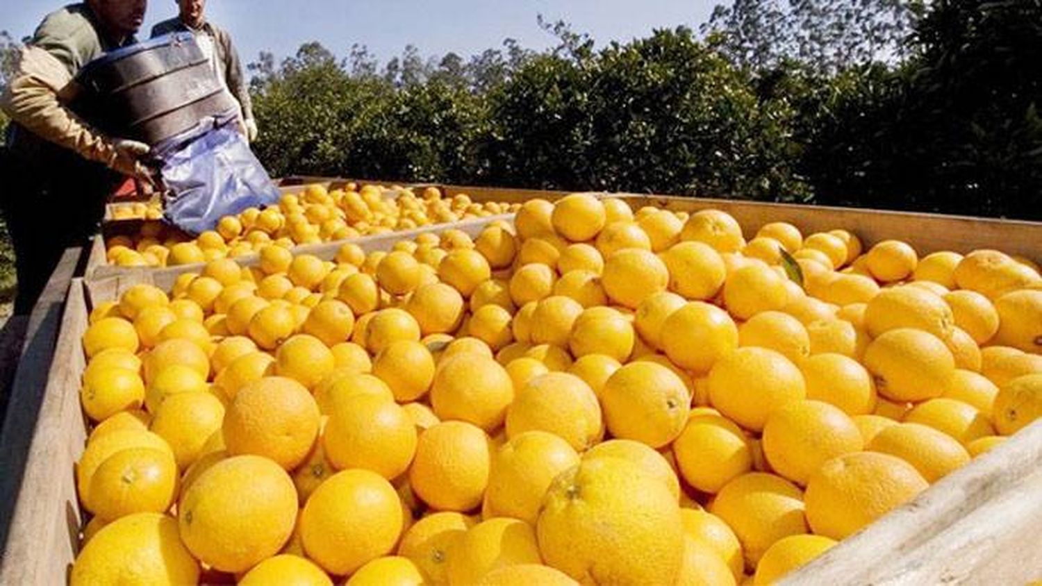 Sindicato de la Fruta, Ministerio de  Trabajo de la Nación y Municipalidad de Concordia