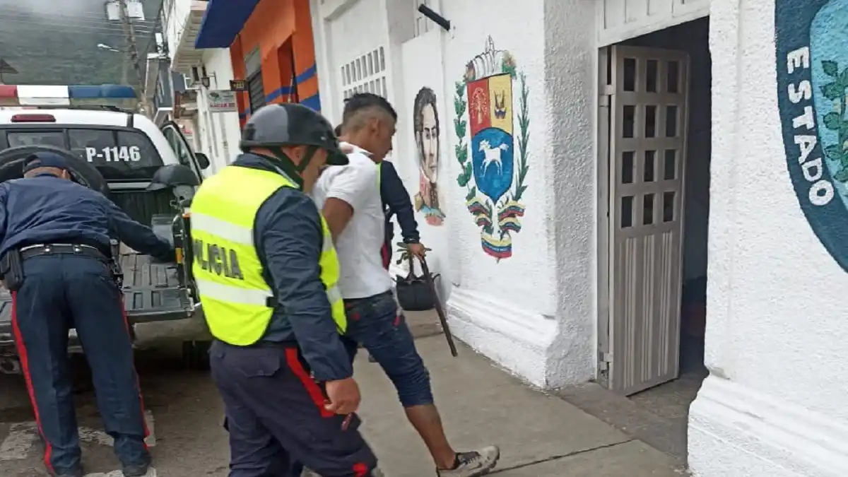 ¡CRUELDAD EXTREMA! Sujeto mata a puñaladas a una perrita y hiere a su cría