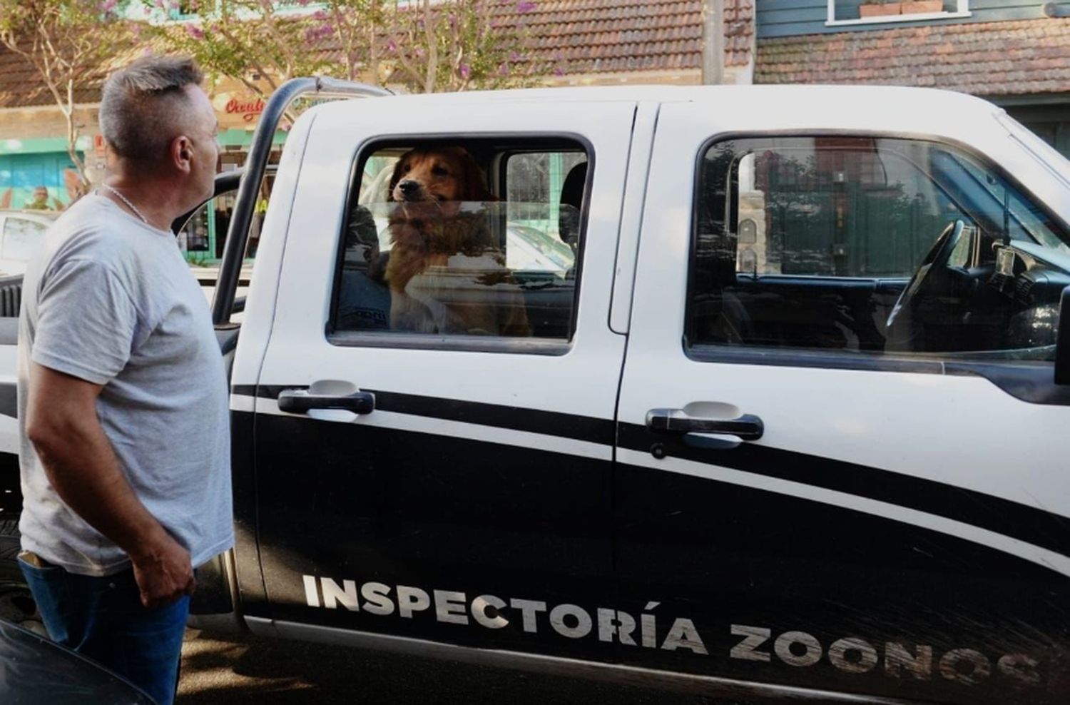 Rescatan a un perro en abandono de un departamento céntrico