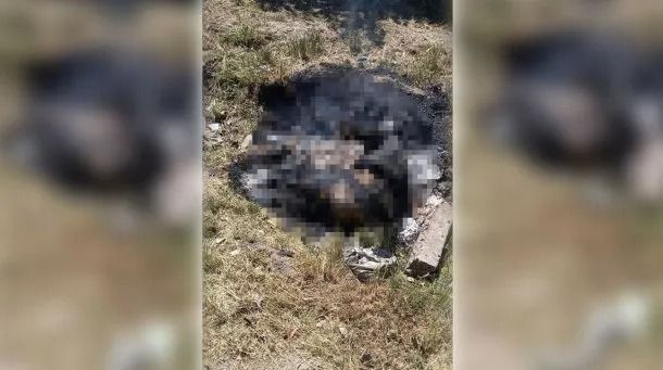 Horror en José C. Paz: Vecinos hallaron un cadáver calcinado dentro de un sillón que dejaron abandonado 