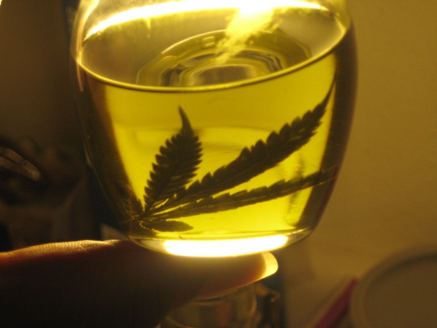 Dictamen en Diputados al proyecto para permitir el cannabis medicinal