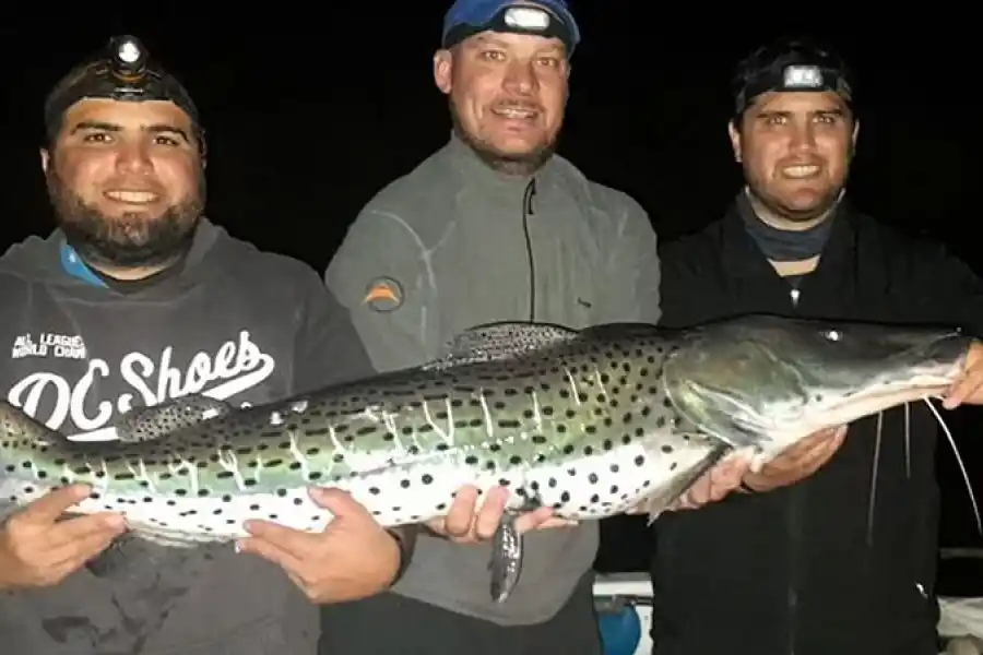 Un paranaense ganó en Fiesta Nacional del Surubí: se pescaron en total 330 piezas