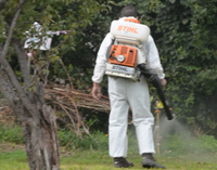 Comenzaron con la fumigación tras el primer caso de dengue en Tandil