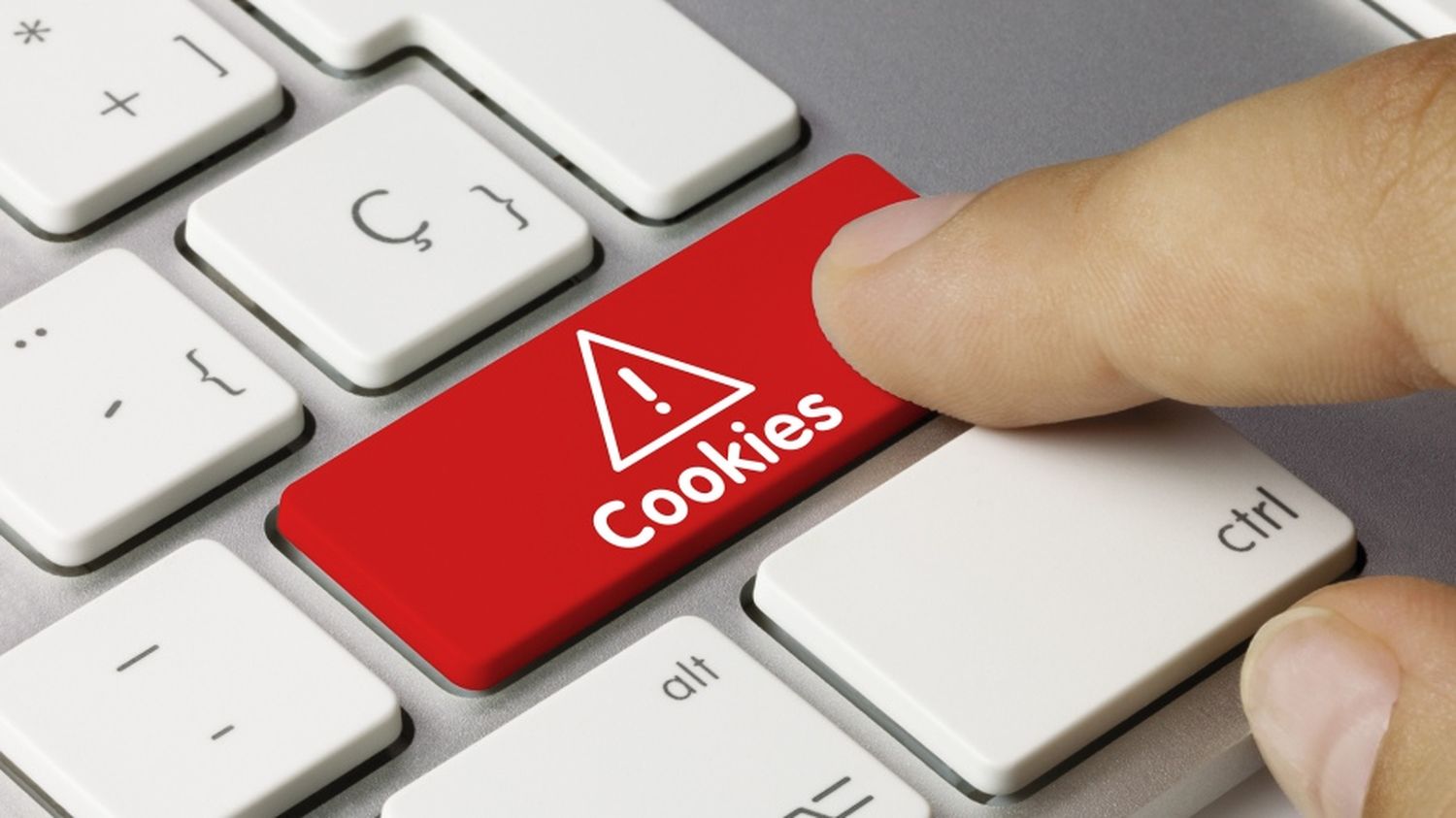 “Cookies”: los argentinos lo instalan en las computadoras sin saber que son