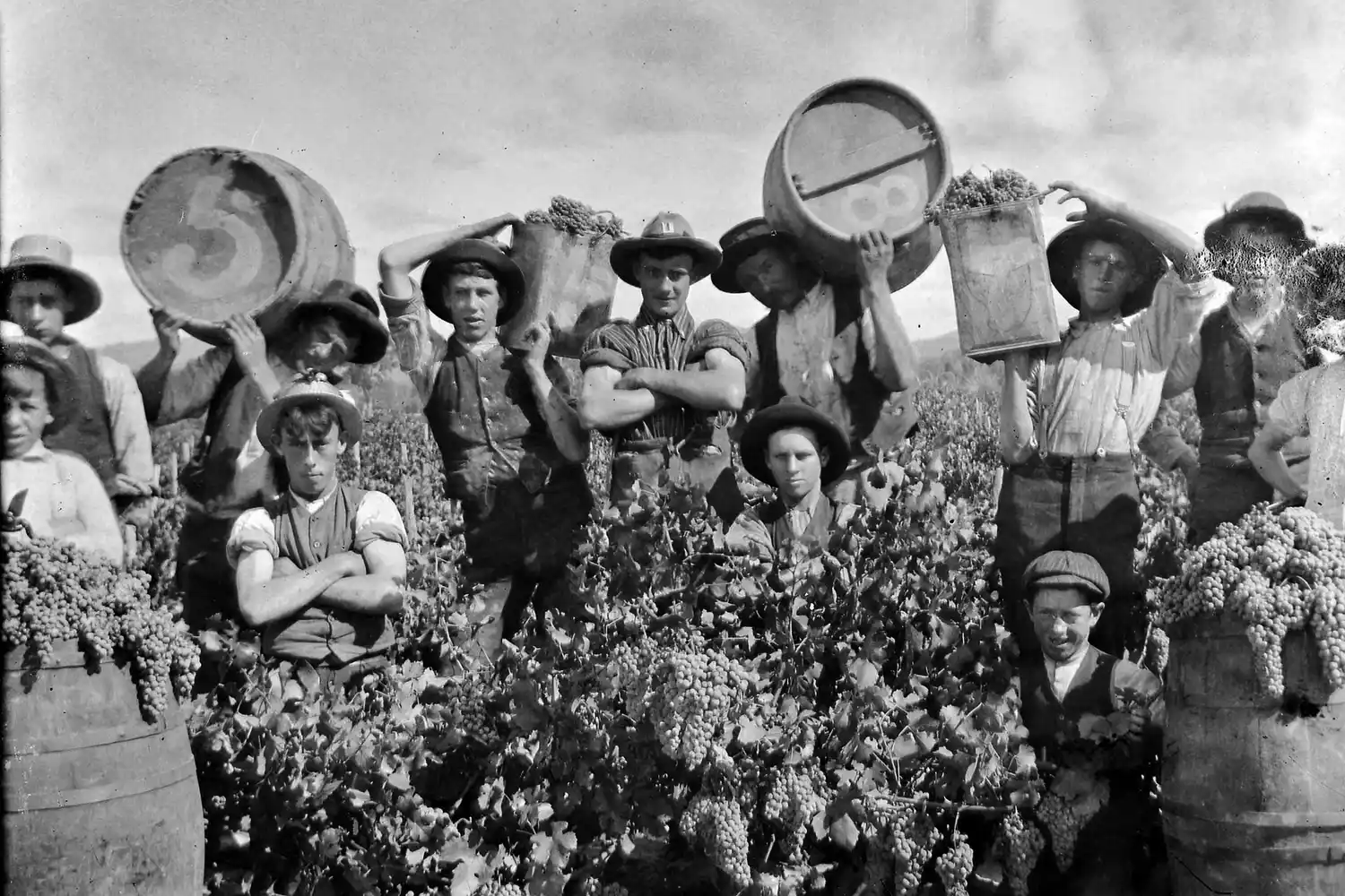 La vitivinicultura argentina a lo largo de los años