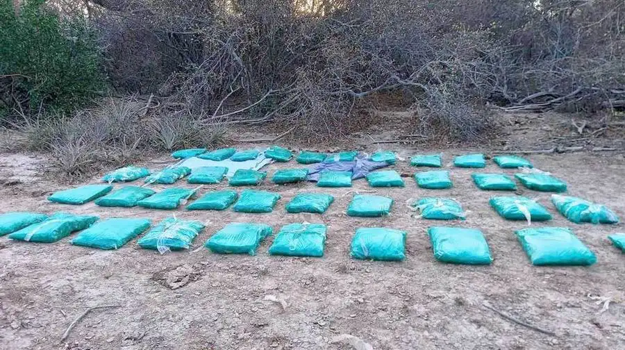 Secuestraron hojas de coca 
valuadas en más de $260.000
