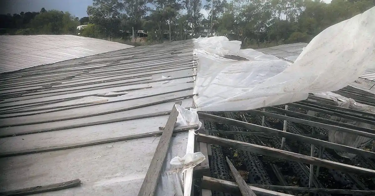 Frutihortícolas: a 6 meses del temporal llegó la primera ayuda de Provincia